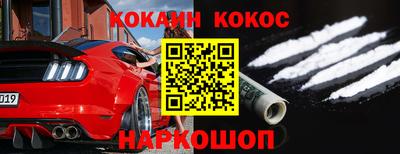 гашик Моздок