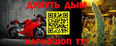 гашик Моздок