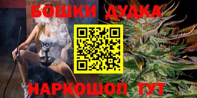 гашик Моздок