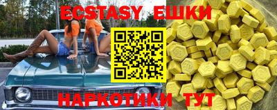 гашик Моздок