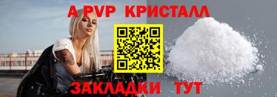 гашик Моздок