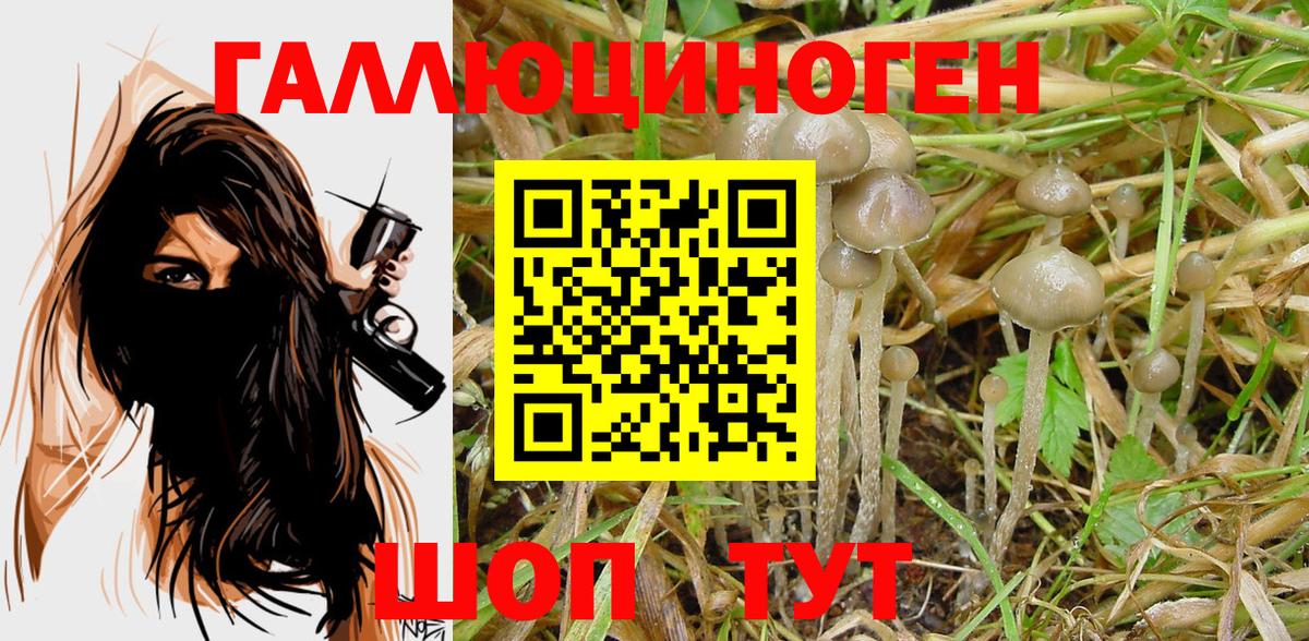 Псилоцибиновые грибы GOLDEN TEACHER Россошь