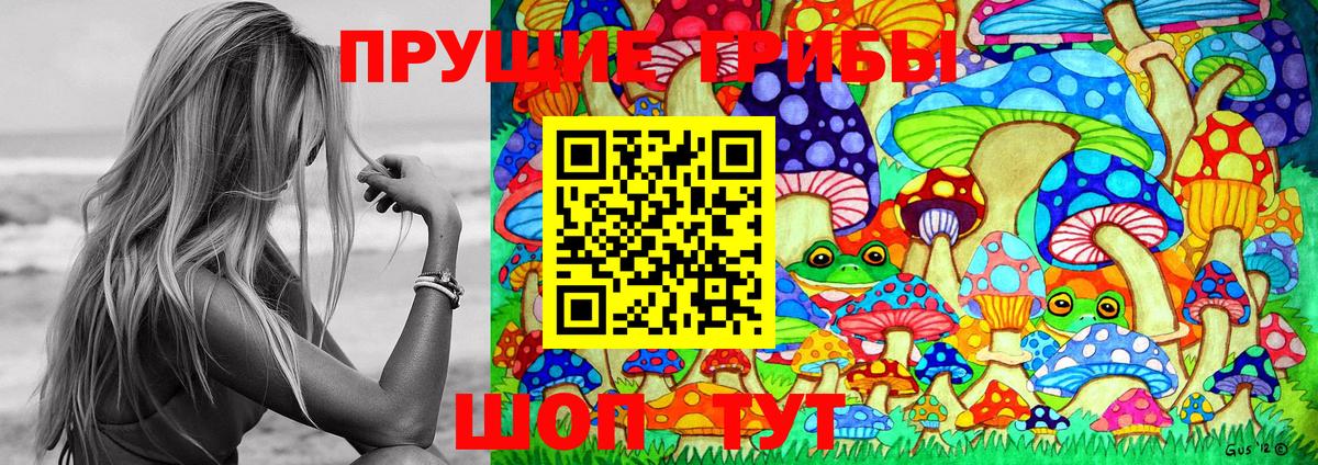 Псилоцибиновые грибы Cubensis  Галлюциногенные грибы Cubensis  Вход с VPN  Россошь 